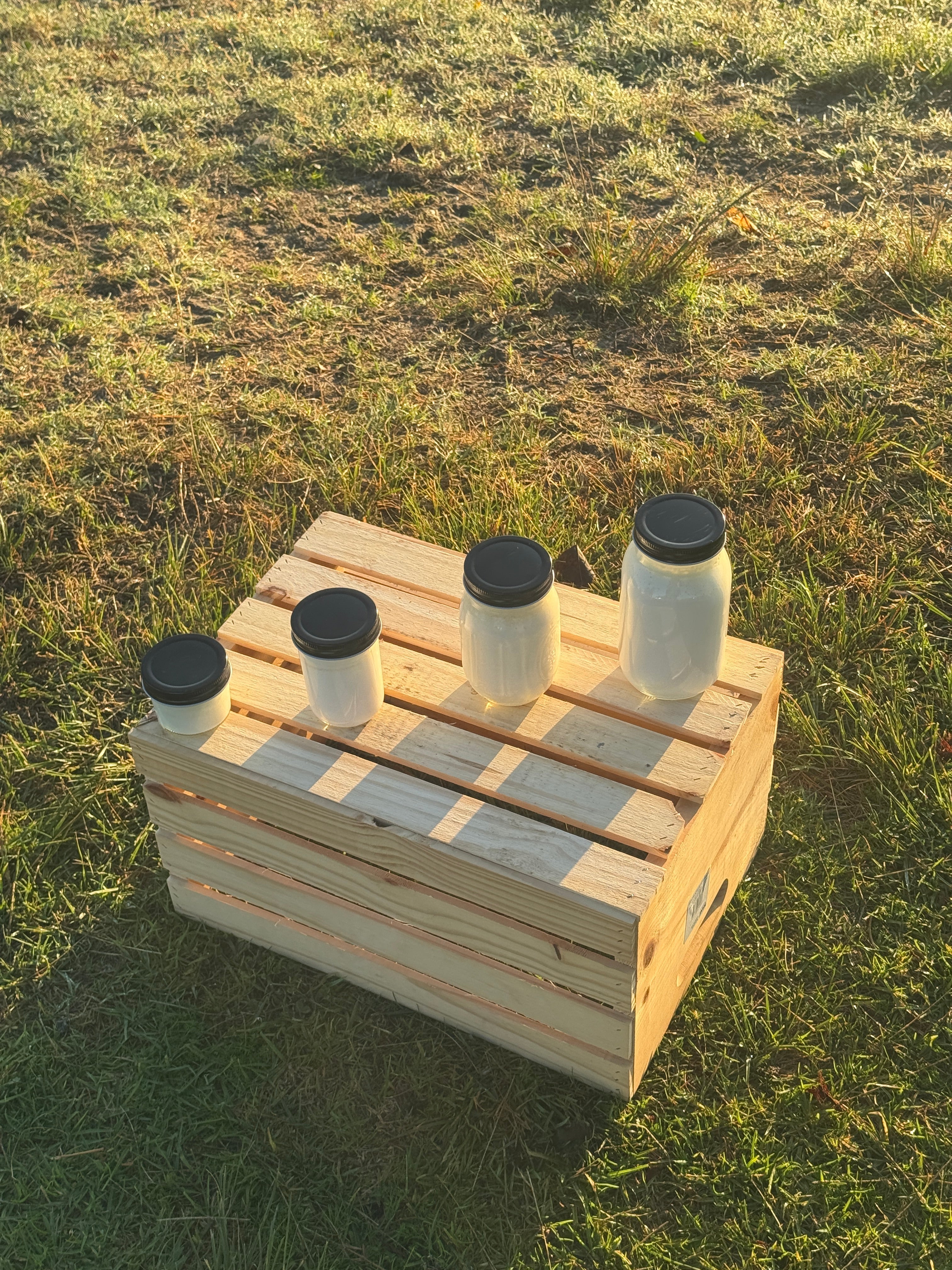 Fermented by Moon Cycles: How Traditional African Fermentation Works